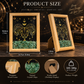 Zodiac crystal frame decor size and product details