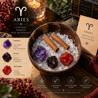 Aries Zodiac Crystal Cleansing Kit with Garnet, Amethyst and Red Agate in a coconut shell bowl