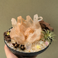 Angled view of the Amber Bloom Crystal Garden featuring a natural orange quartz crystal cluster in a handcrafted ceramic bowl.